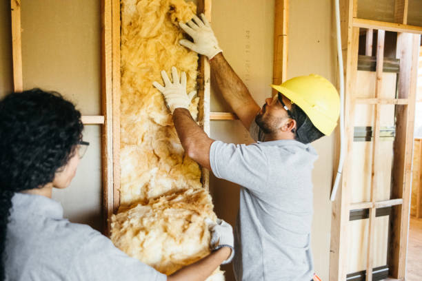 Best Insulation Replacement Services  in Weddington, NC