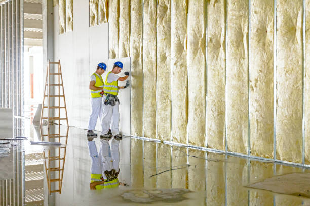 Best Insulation Inspection Services  in Weddington, NC